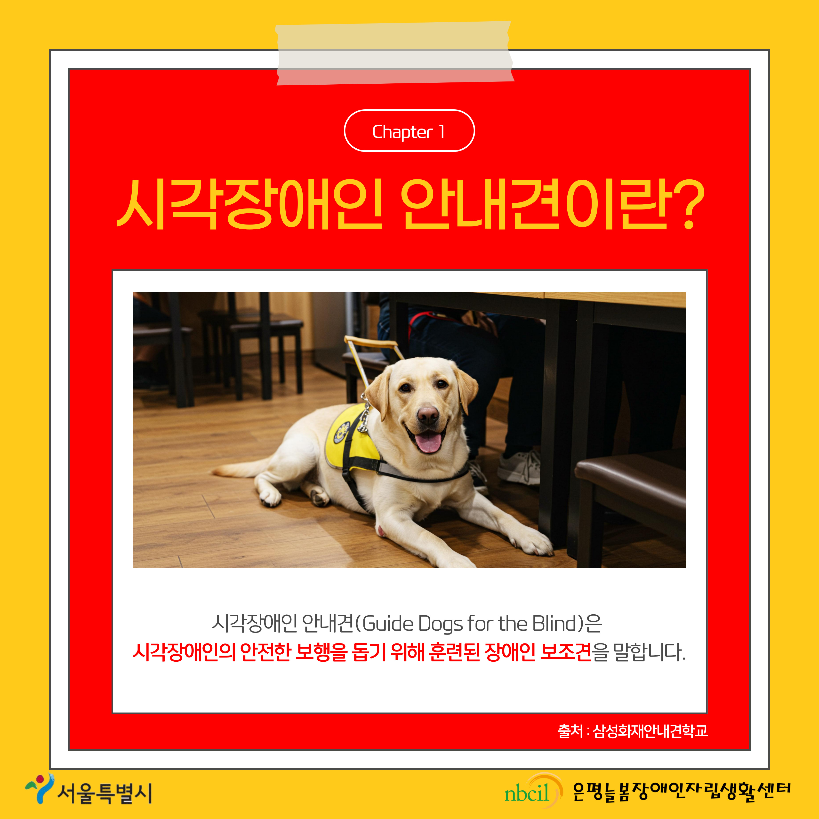 Chapter 1 시각장애인 안내견이란? 시각장애인 안내견(Guide Dogs for the Blind)은 시각장애인의 안전한 보행을 돕기 위해 훈련된 장애인 보조견을 말합니다.